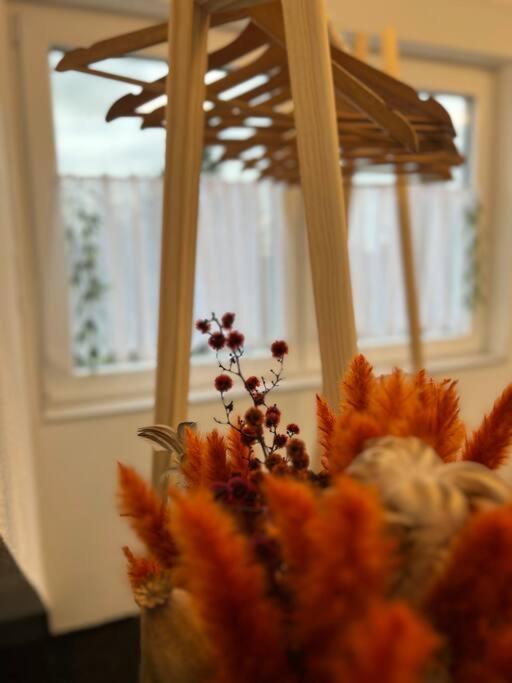 Boho Apartment Mit Aussicht Auf Gartenoase Naehe Duesseldorf 크레펠트 외부 사진